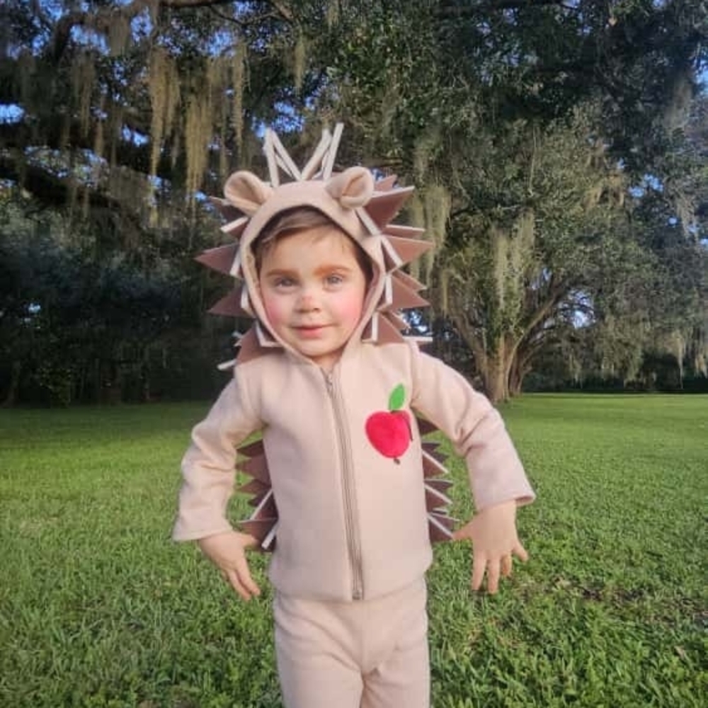 TODDLER New Halloween COSTUME Adorable Hedgehog ANIMAL DINOSAUR Kids Halloween